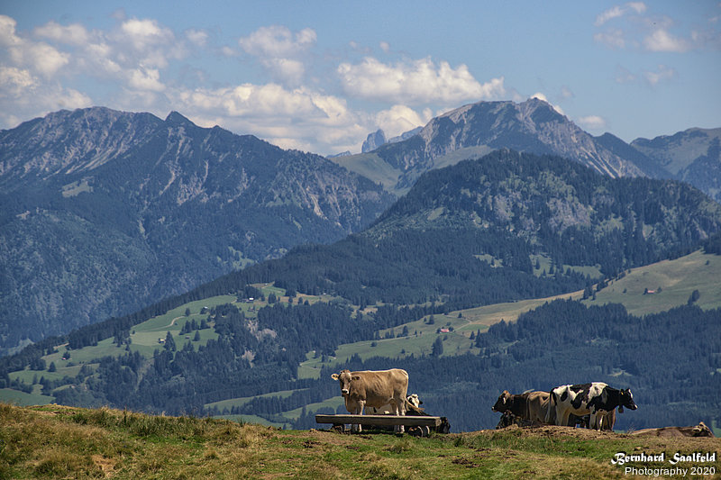 Bernhard Saalfeld - Auf dem Hoerner Panoramaweg